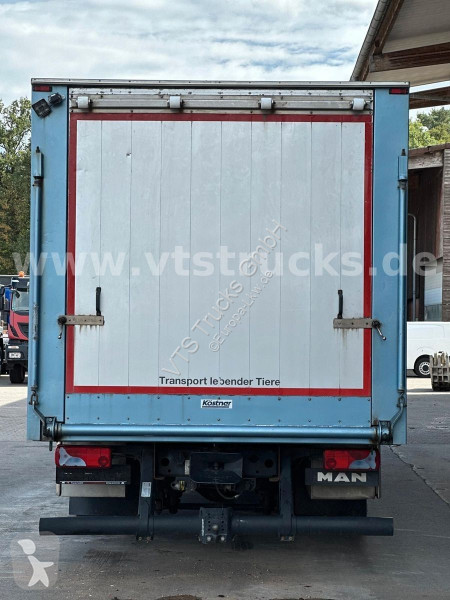 Camión MAN TGM 15.290 1 Stock Köstner Viehaufbau
