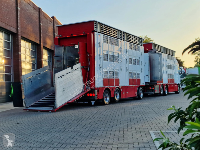 Kamion Volvo 13500 XL 6x2 - Pezzaioli livestock...