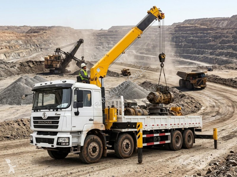 Camion Shacman CRANE TRUCK MT 8x4