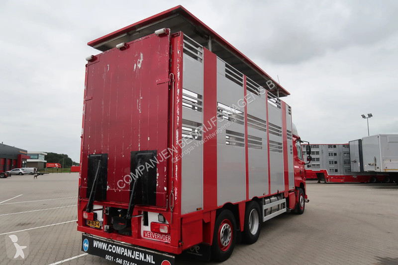 Camion DAF 480 M4SN3 - Livestock transport