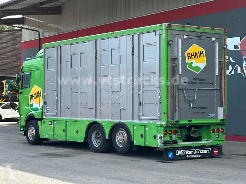 Camion DAF 480 LL 6x2 3.Stock Menke Viehwagen...