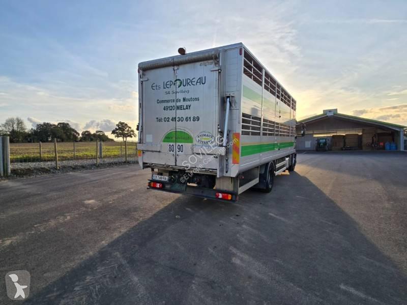 Camion Iveco