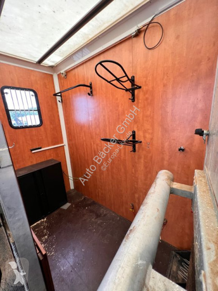 Camión MAN 8.180 4x2  FG Pferdetransporter (3er)