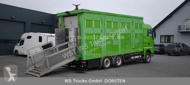 شاحنة MAN TGX XL KABA  3 Stock Viehtransporter