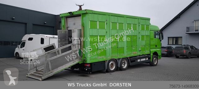 Lastbil MAN TGX XL KABA  3 Stock Viehtransporter