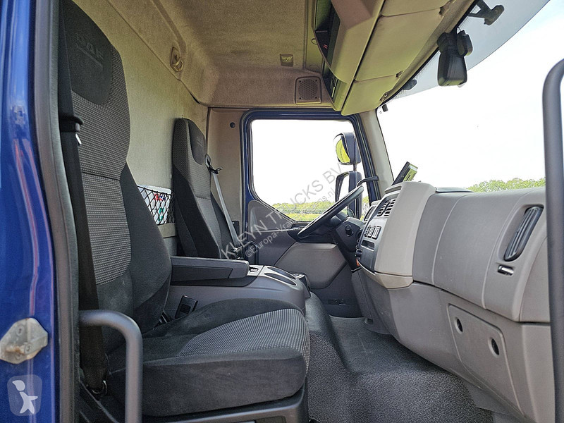 Camion DAF 290