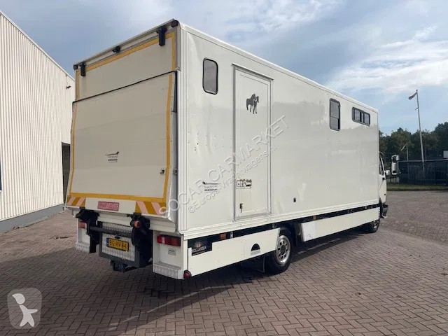 Lastbil DAF LF CLEAN HORSES NL-TRUCK