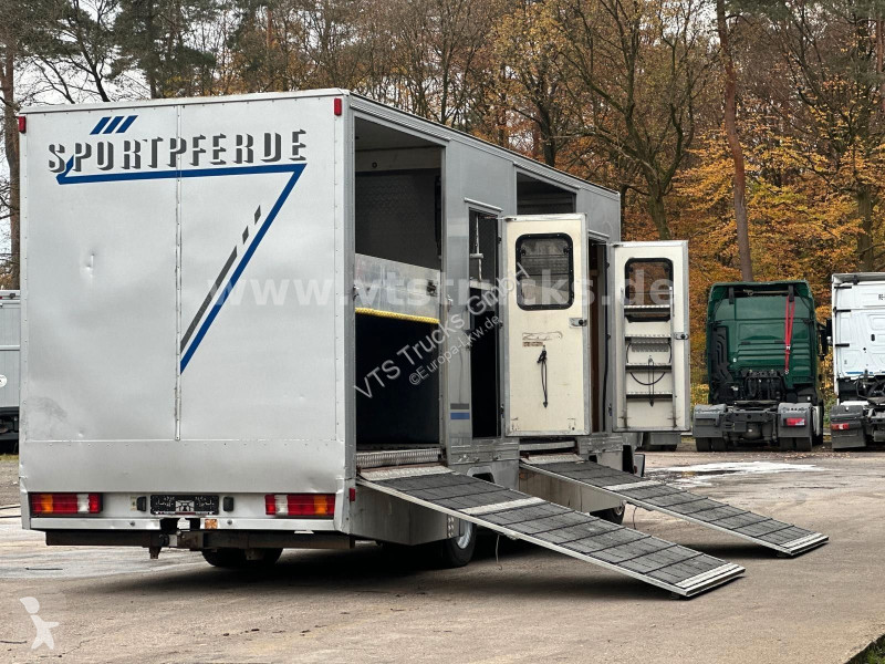 شاحنة Mercedes 4x2 4Pferdetransporter