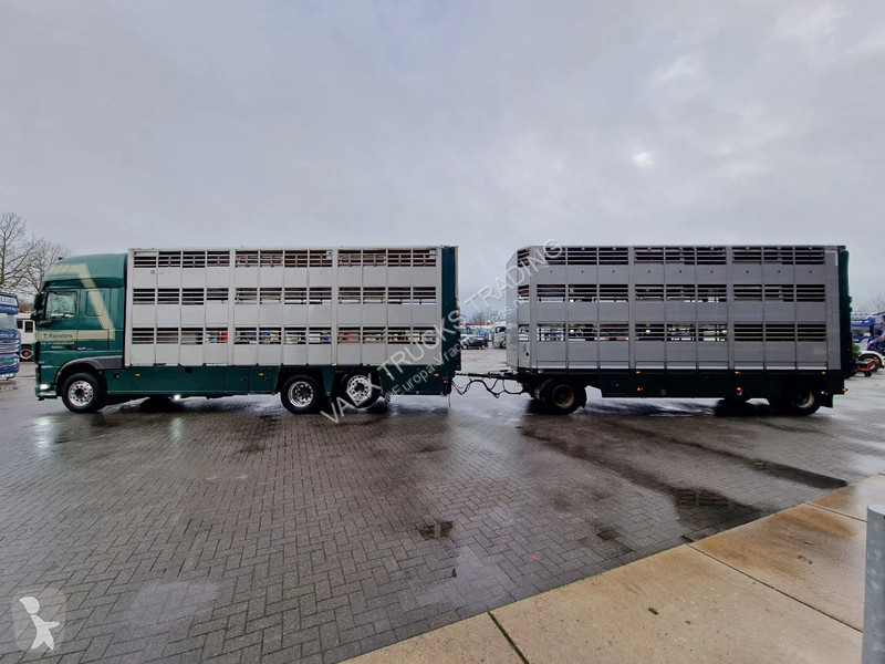 شاحنة DAF 440 SuperSpaceCab 6x2*4 - Cuppers...