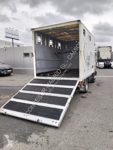 شاحنة Nissan  TRANSPORTE CABALLOS