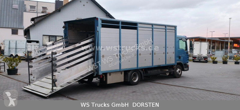 شاحنة MAN 10.210 1 Stock Viehtransporter