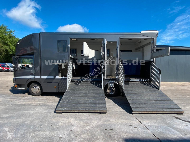 شاحنة Mercedes 818 Pferdetransporter