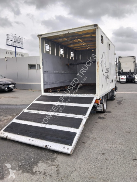 شاحنة Nissan  TRANSPORTE CABALLOS