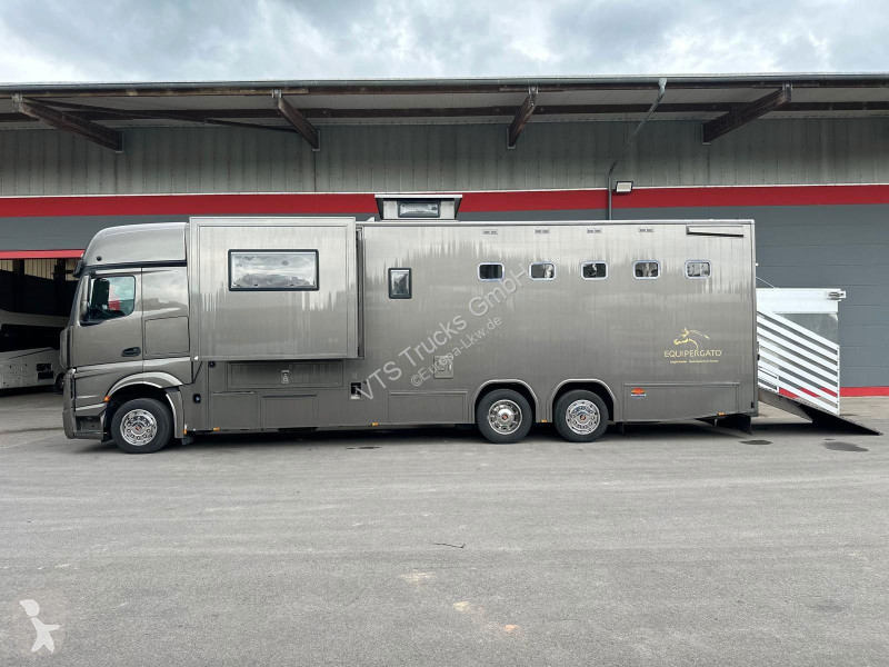 Mercedes 2543 BÖCKMANN Pferde,-Wohnmobil...