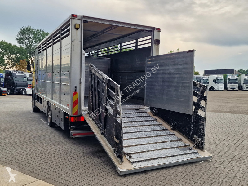 Camión Scania 4x2 - Finkl livestock 16.8M2 -...