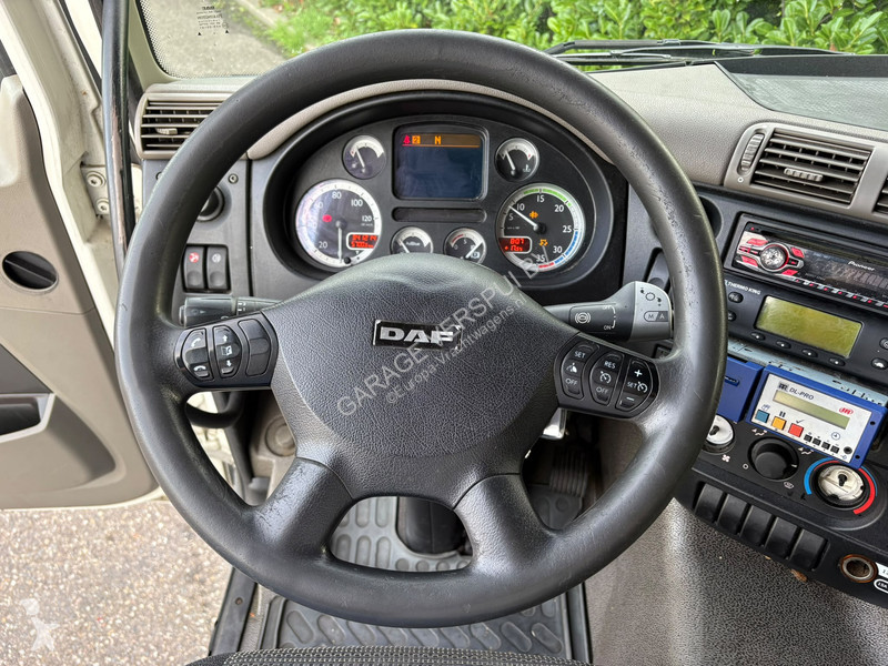 Camión DAF 300 FA Euro5