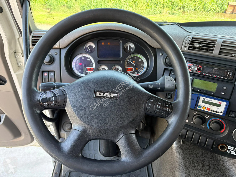 Camión DAF 300 FA Euro5