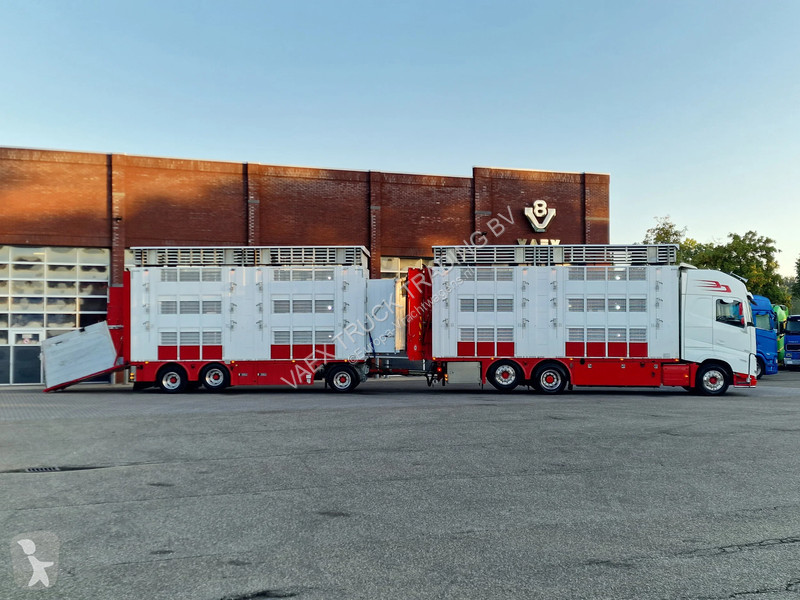Kamion Volvo 13500 XL 6x2 - Pezzaioli livestock...