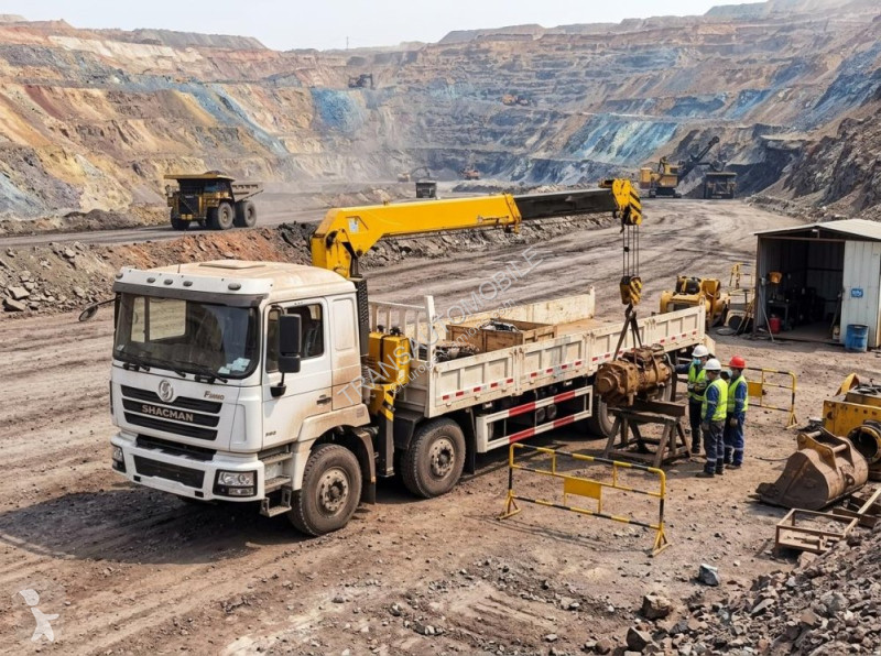 Camion Shacman CRANE TRUCK MT 8x4