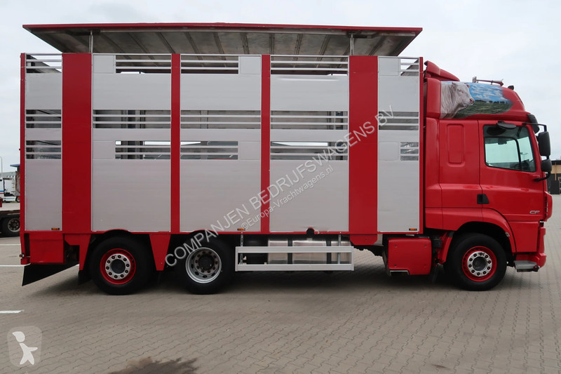 Camion DAF 480 M4SN3 - Livestock transport