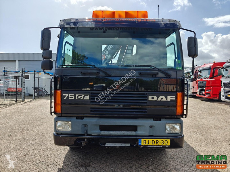 Грузовик DAF 250 4x2 Day Cab Euro3 - 2-Sided...
