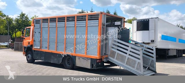 Camion DAF 400 Menke Einstock Viehtransporter