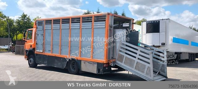 Camion DAF CF 400 Menke Einstock Viehtransporter