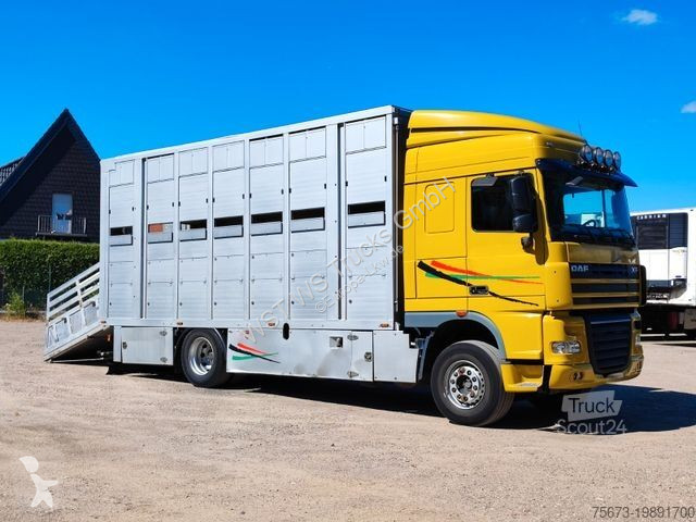Camion DAF XF 410 SC Menke Doppelstock