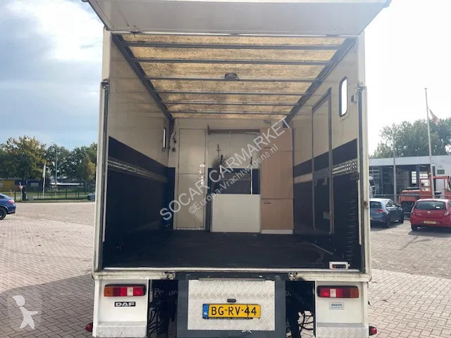 Lastbil DAF LF CLEAN HORSES NL-TRUCK
