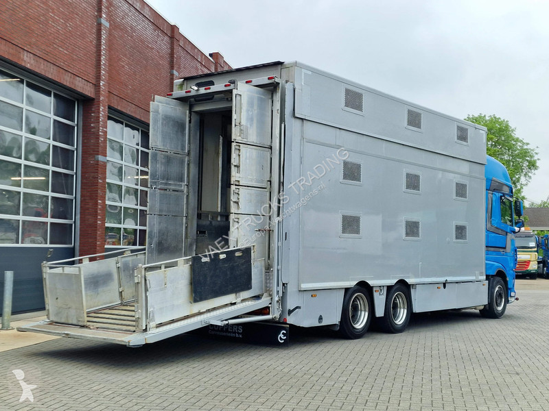 شاحنة DAF 510 6x2 SuperSpaceCab - Livestock...
