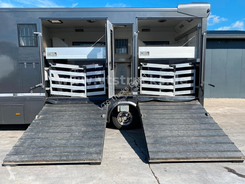 شاحنة Mercedes 818 Pferdetransporter