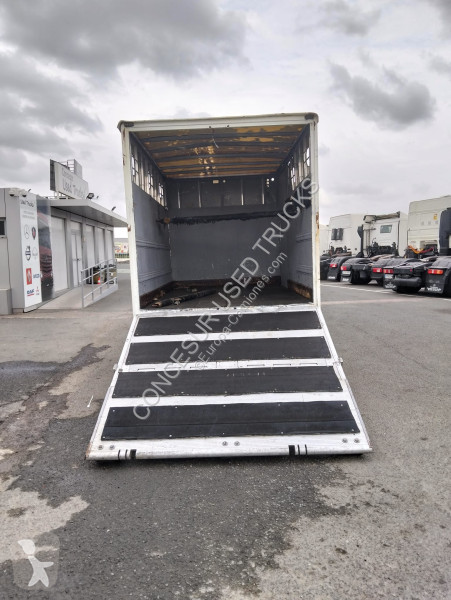 شاحنة Nissan  TRANSPORTE CABALLOS