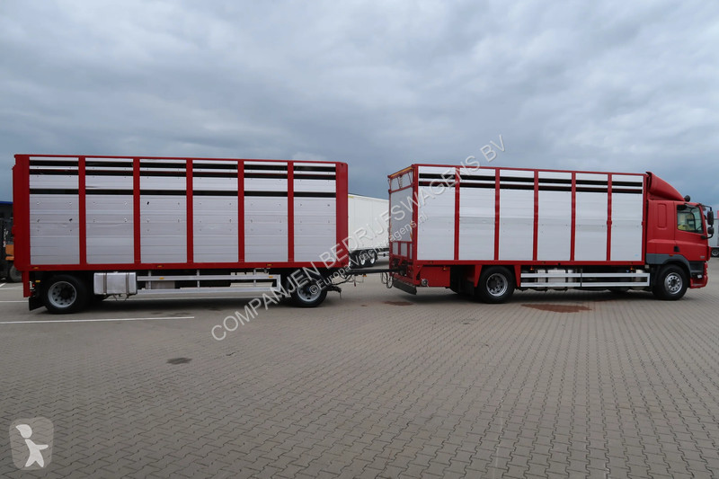 شاحنة DAF Daf+Jumbo Muller Box complete