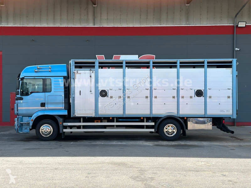 Camión MAN TGM 15.290 1 Stock Köstner Viehaufbau