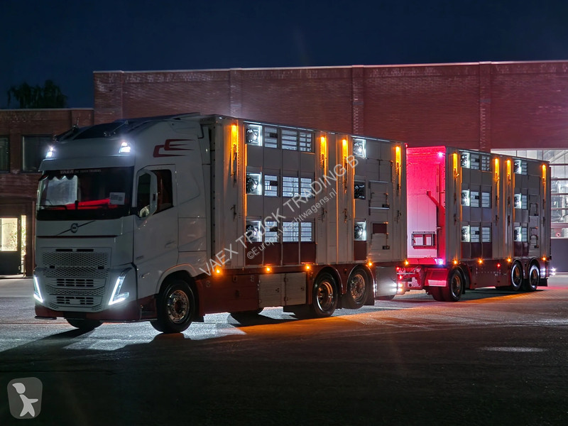 Kamion Volvo 13500 XL 6x2 - Pezzaioli livestock...
