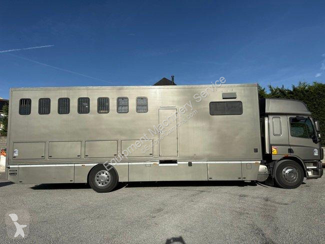 DAF VAN A CHEVAUX 7 PLACES - DAF truck