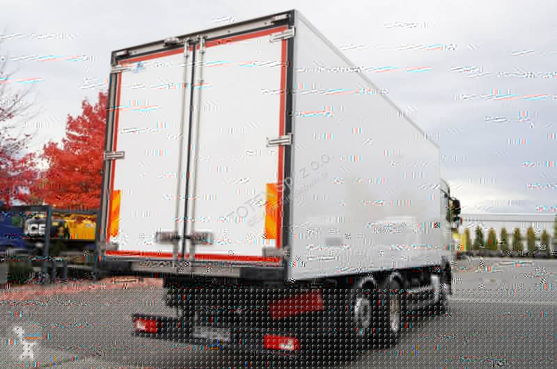 Camion DAF