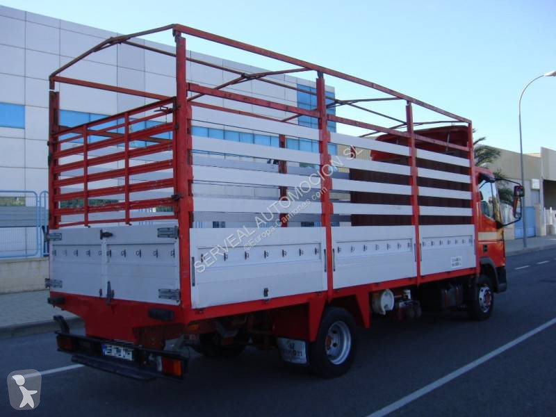 Camion Iveco