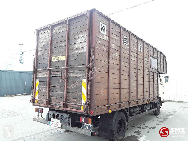 Camion MAN