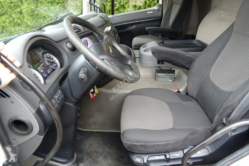 Camion DAF CF 250 Euro 6 burto - firanka z...