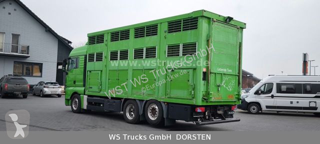 شاحنة MAN TGX XL KABA  3 Stock Viehtransporter