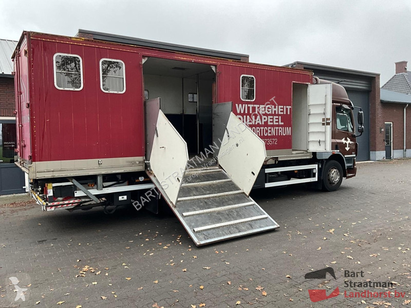 Camion DAF FA 4x2 Euro 5 Paardenwagen geschikt...