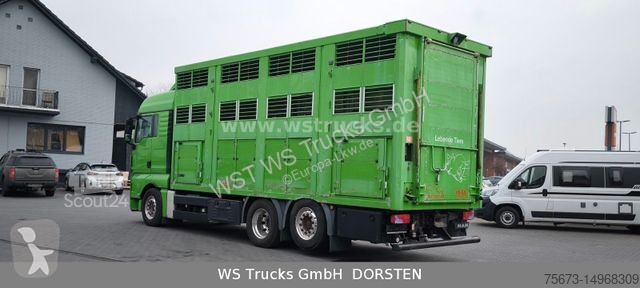 Lastbil MAN TGX XL KABA  3 Stock Viehtransporter