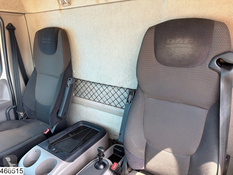 شاحنة DAF 290 EURO 6, Dhollandia