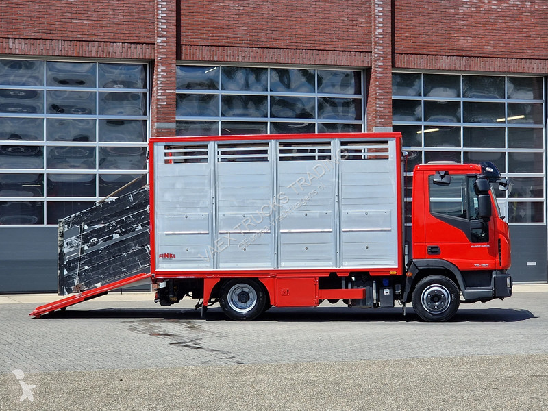 شاحنة Iveco 75.190 - Finkl Livestock 1 deck -...