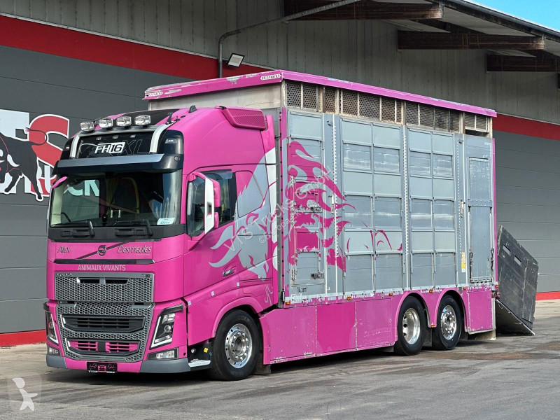 شاحنة Volvo 650 6x2 2.Stock Pezzaioli...
