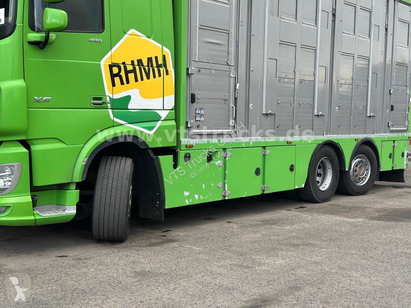 Camion DAF 480 LL 6x2 3.Stock Menke Viehwagen...