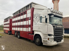 Camión remolque Scania R 580 remolque ganadero usado