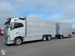 Vrachtwagen met aanhanger Volvo FH tweedehands vee aanhanger