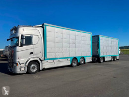 Camion remorque bétaillère Scania occasion